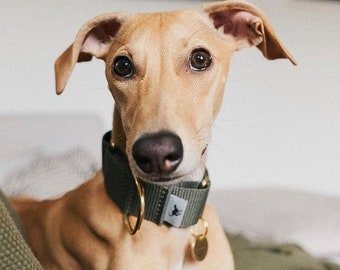 Collare Martingala per Levriero Italiano 'Atacama', Levriero Whippet, Levriero Grigio, Lurcher Italiano