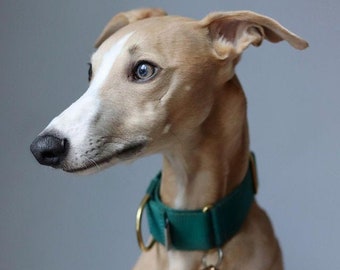 Emerald 'Atacama' Whippet Greyhound Italian Lurcher Sighthound Martingale Collar