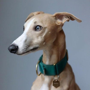 Emerald &#39;Atacama&#39; Whippet Greyhound Italian Lurcher Sighthound Martingale Collar