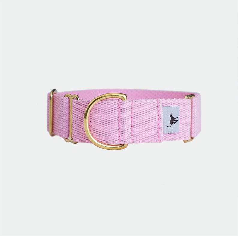 May include: Pink dog collar with a gold metal buckle and a small white label with a black kangaroo logo.