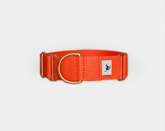 Seville Orange 'Atacama' Whippet Greyhound Italian Lurcher Sighthound Martingale Collar