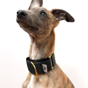 Granite Grey 'Atacama' Whippet Greyhound Italian Lurcher Sighthound Martingale Collar