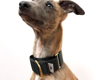 Collare Martingala per Whippet 'Atacama' grigio granito, levriero italiano, levriero