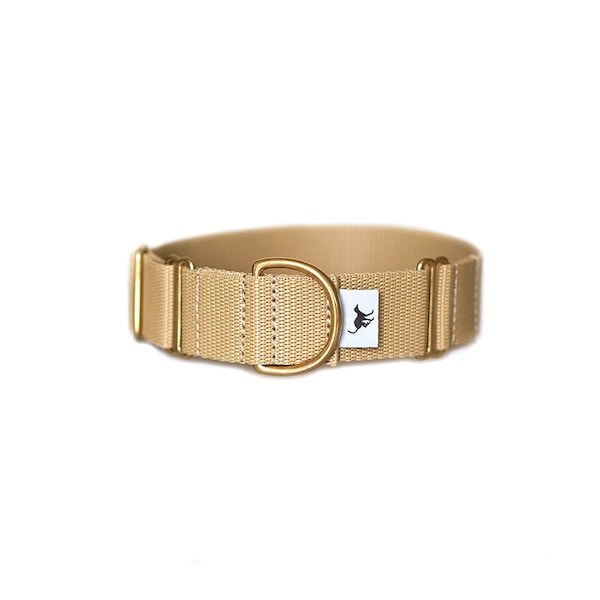 Gold Sand Beige  'Atacama' Whippet Greyhound Italian Lurcher Sighthound Martingale Collar