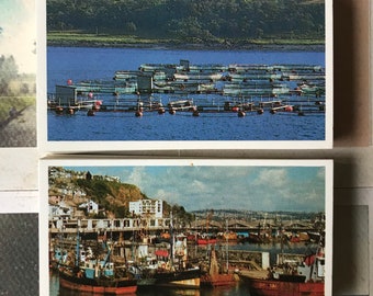 1989 - Discovering our Coast - DOUBLE CARDS - Brooke Bond Tea Cards - Full Set