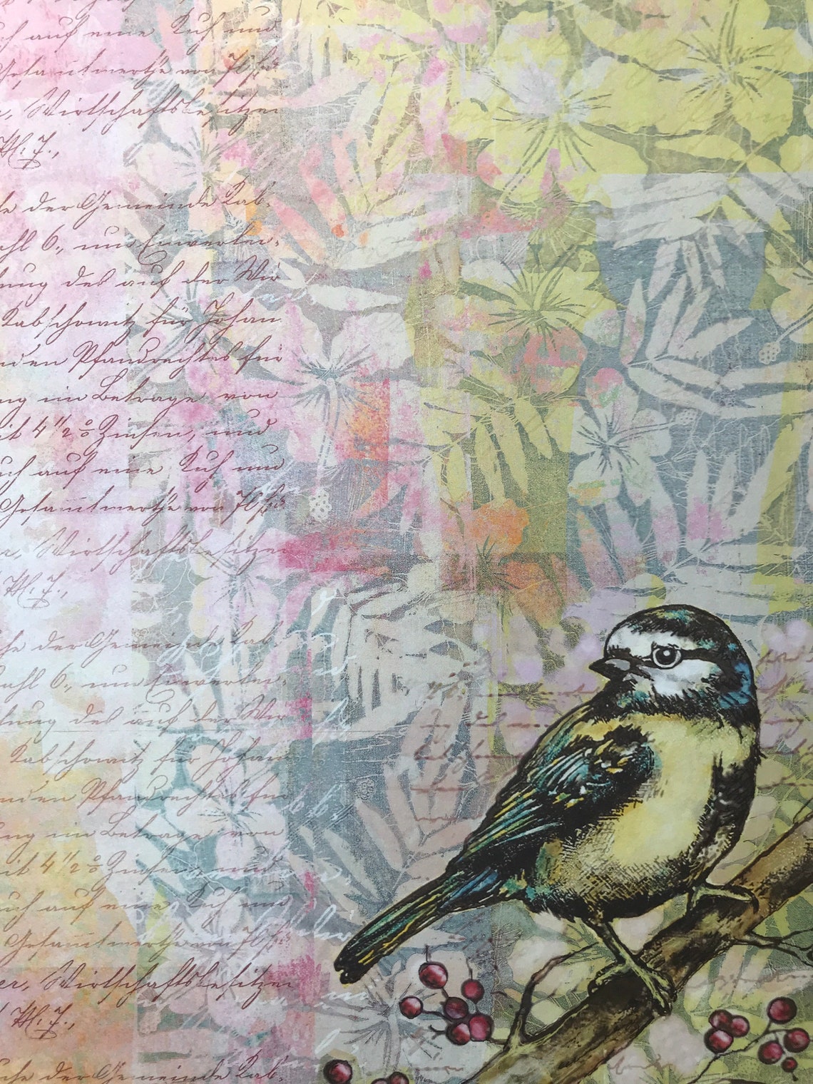 Beautiful Birds A4 Crafty Individuals Background Papers Etsy