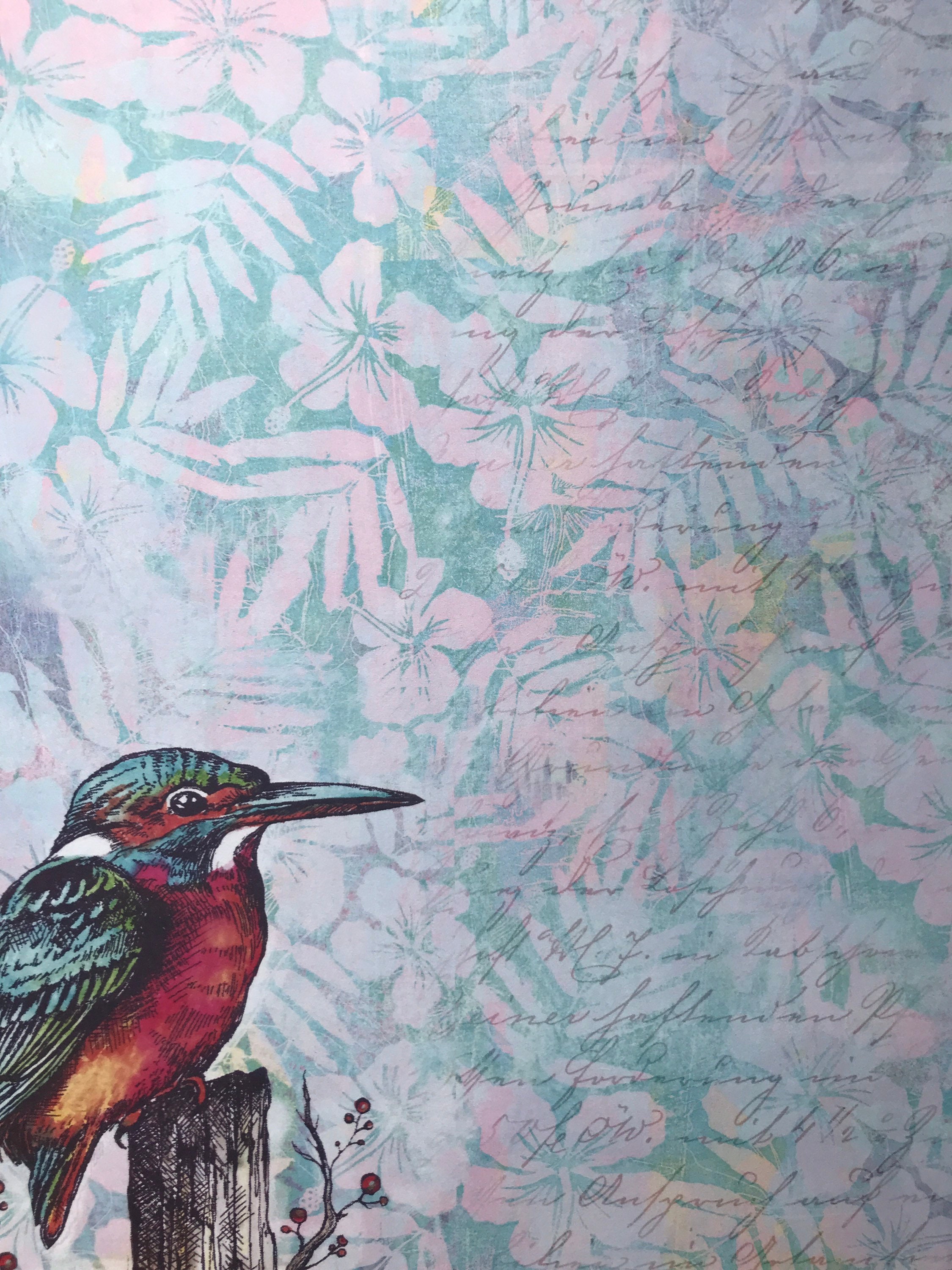 Beautiful Birds A4 Crafty Individuals Background Papers Etsy