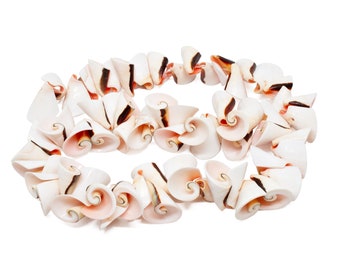 Everlasting Luhuanus Shell Curly Spiral Cone Seashell Nugget Drop Beads - Natural Pink - 20 to 25mm 60 pieces - Top Drilled