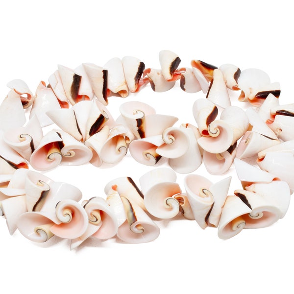 Everlasting Luhuanus Shell Curly Spiral Cone Seashell Nugget Drop Beads - Natural Pink - 20 to 25mm 60 pieces - Top Drilled