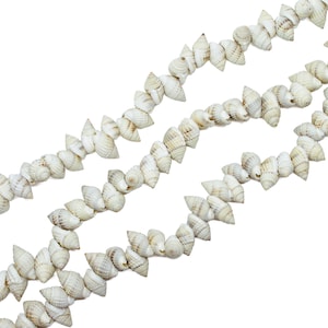 Natural Nassa Seashell Beads - Small Conch Beach Style Shell - Center Hole Drilled - 15 inch strand - 60 pieces - 13mm to 18mm