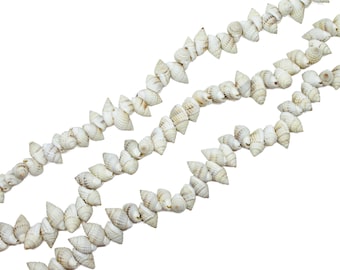 Natural Nassa Seashell Beads - Small Conch Beach Style Shell - Center Hole Drilled - 15 inch strand - 60 pieces - 13mm to 18mm