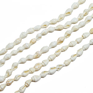 Op de afbeelding: Meerdere strengen natuurlijke schelpen in verschillende maten en vormen, aan elkaar geregen. De schelpen zijn voornamelijk gebroken wit met enkele bruine en bruinachtige markeringen. De opstelling is diagonaal tegen een witte achtergrond, geschikt voor knutselen of sieraden.