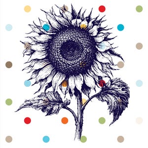 Puede incluir: Ilustración detallada a pluma y tinta de un girasol con centro azul oscuro y pétalos blancos. El girasol tiene hojas y tallo verdes. El fondo es blanco con lunares de colores.