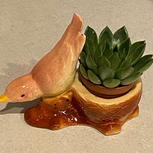 May include: A ceramic bird planter with a succulent. The bird is peach-colored with a yellow beak, perched beside a nest-shaped planter. The planter holds a green succulent in a small brown pot. The base is brown.