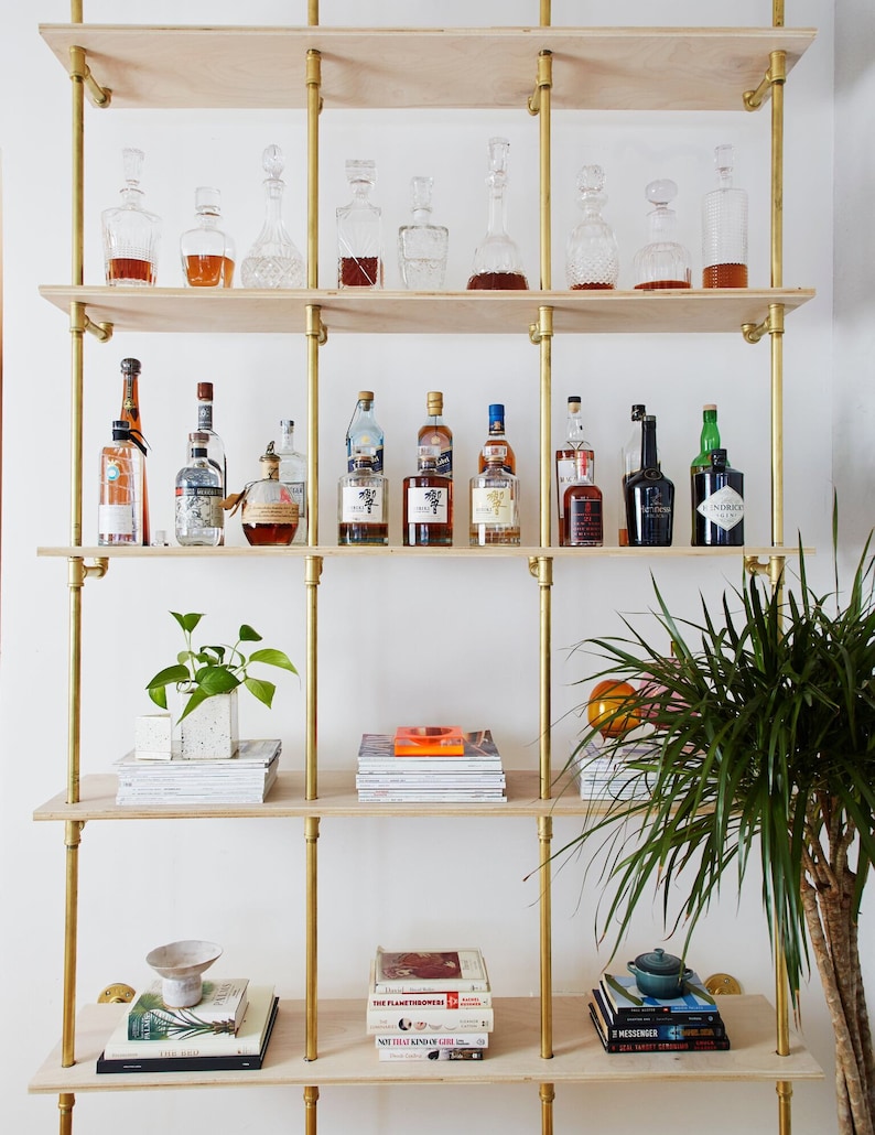 A brass and light wood bookcase holds carafes, bottles, and books. There is a small palm in the foreground.