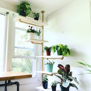 Single Rail Pipe Shelving