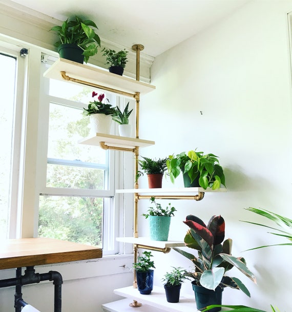 Single Rail Pipe Shelving Etsy