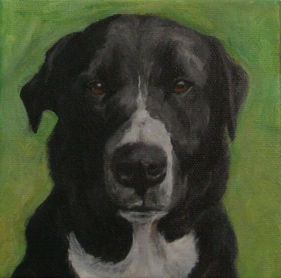 Items similar to CUSTOM PET PORTRAITS on Etsy