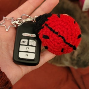 Ladybug keychain