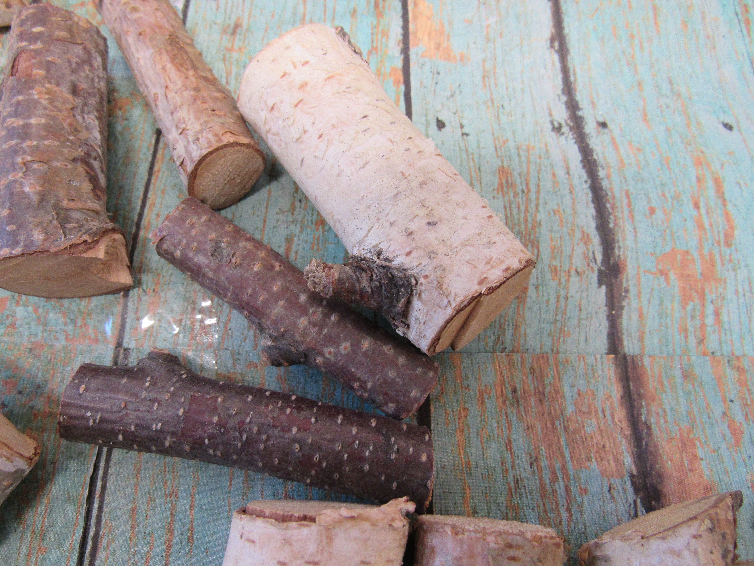 Pumpkin Stems Wood Stems for Craft Projects 16 Pieces Etsy