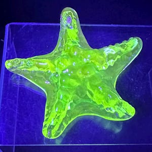 May include: A glowing, neon green starfish figurine. The glass sculpture has a textured surface with small, rounded bumps. The starfish is displayed on a clear, rectangular base, with a dark blue background.