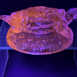 May include: A glowing orange and purple glass turtle figurine. The turtle has a textured shell and head, with a rounded body. The figurine is displayed on a clear glass shelf against a dark background.