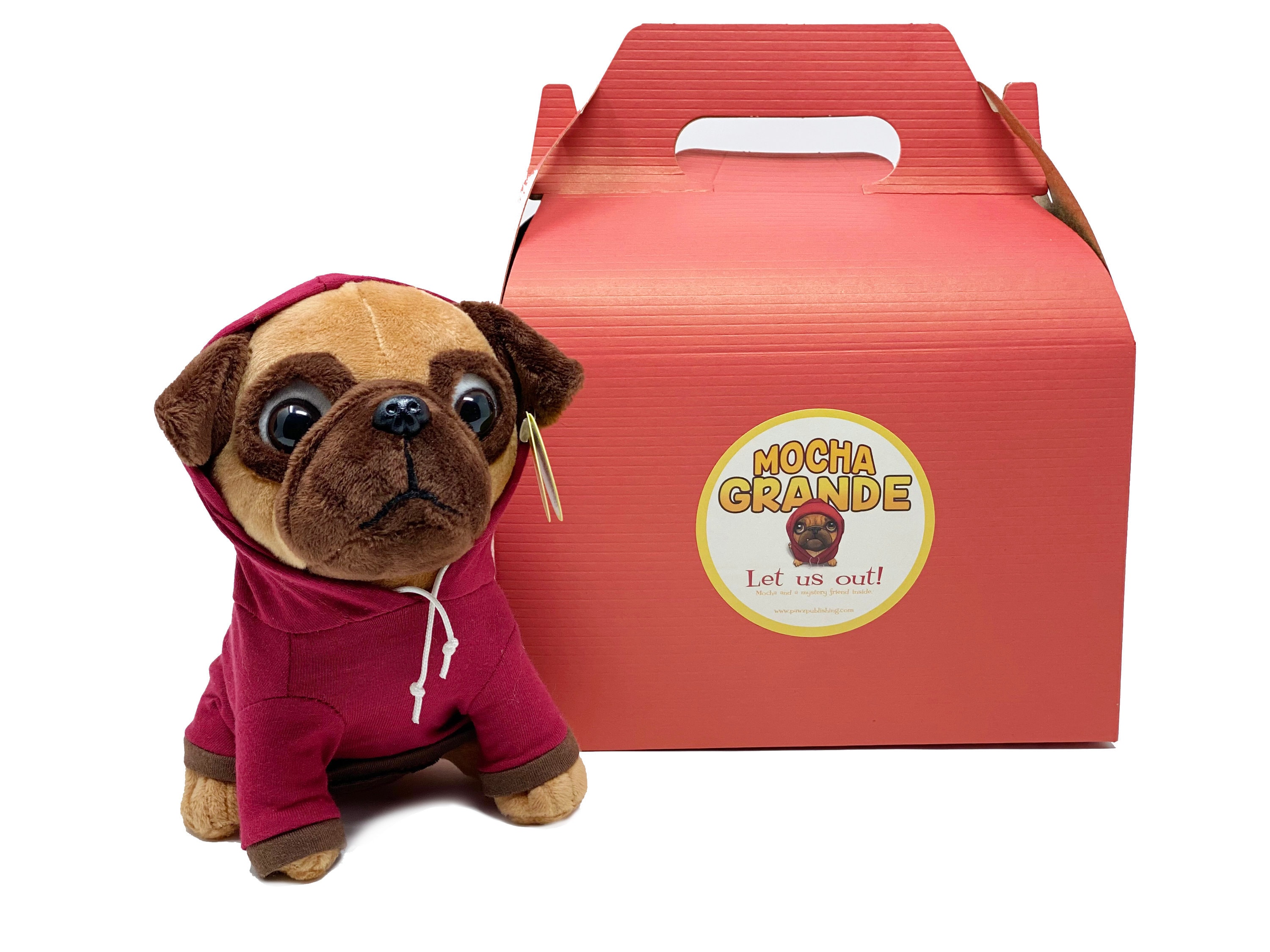 dog toy mystery box