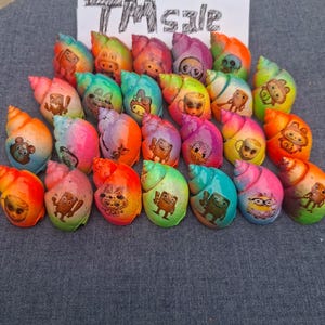 100pcs hermit crab shells Rainbow model, wholesale shells, random motif