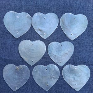 May include: Eight translucent, heart-shaped shell pieces with small holes at the top and bottom. The shells have a pearlescent sheen and are arranged on a blue fabric surface. Ideal for crafts or jewellery making.