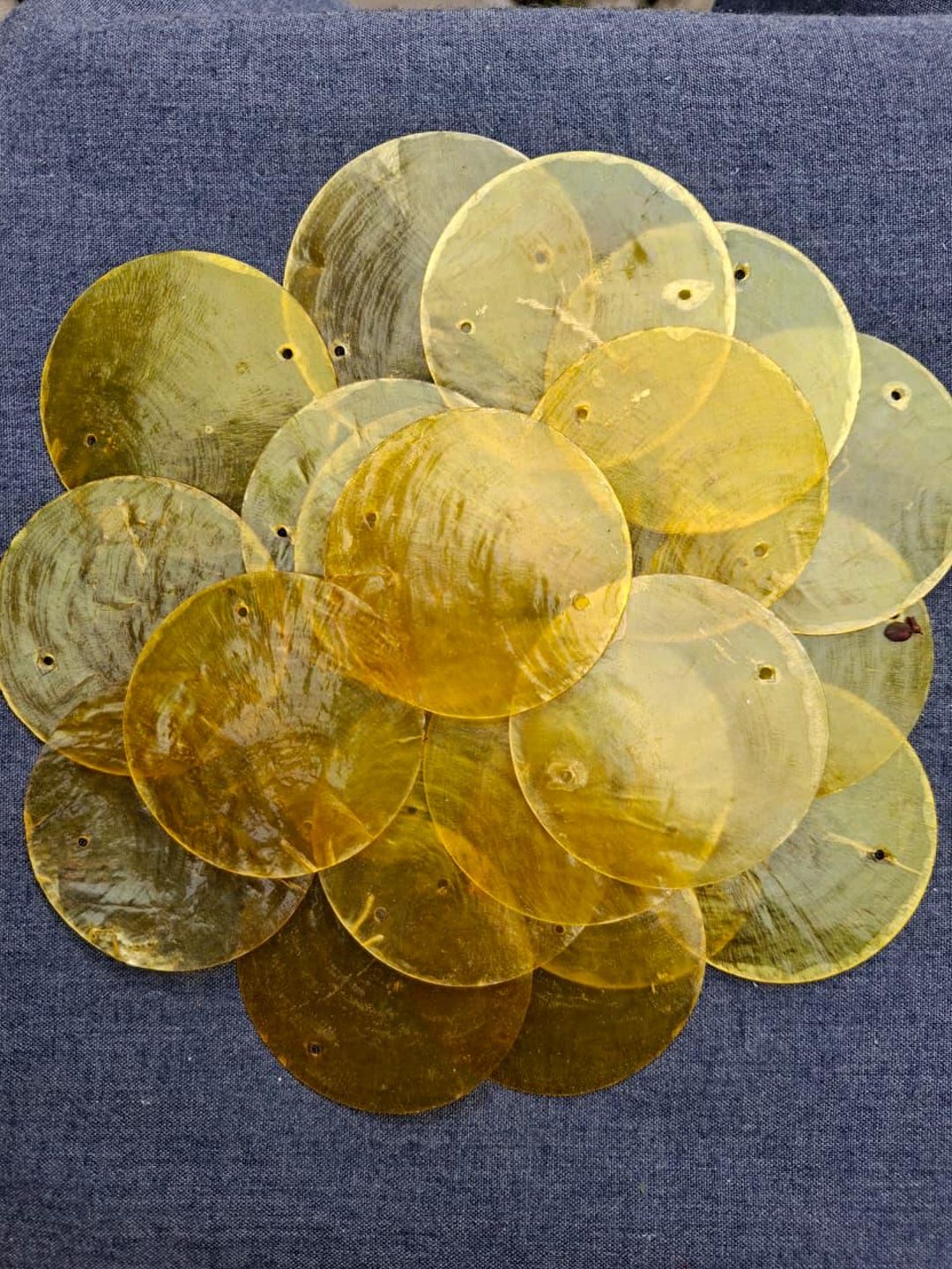 Natural Yellow Colored Capiz Shells Size 2 Inch, Craft Supplies Shells ...