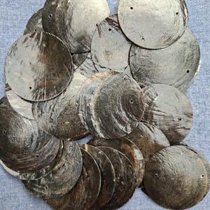 May include: A collection of dark, round, shell-like discs with a glossy finish. Each disc has a small hole near the edge. The discs are arranged on a blue fabric surface, creating a textured, natural aesthetic.