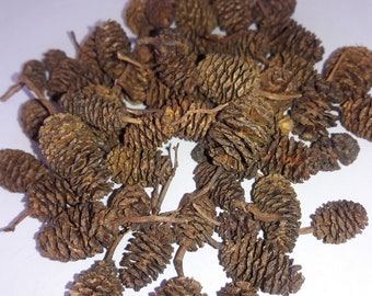 Alder cones aquarium decor, Bettas, Shrimp, water conditioner natulally lower PH