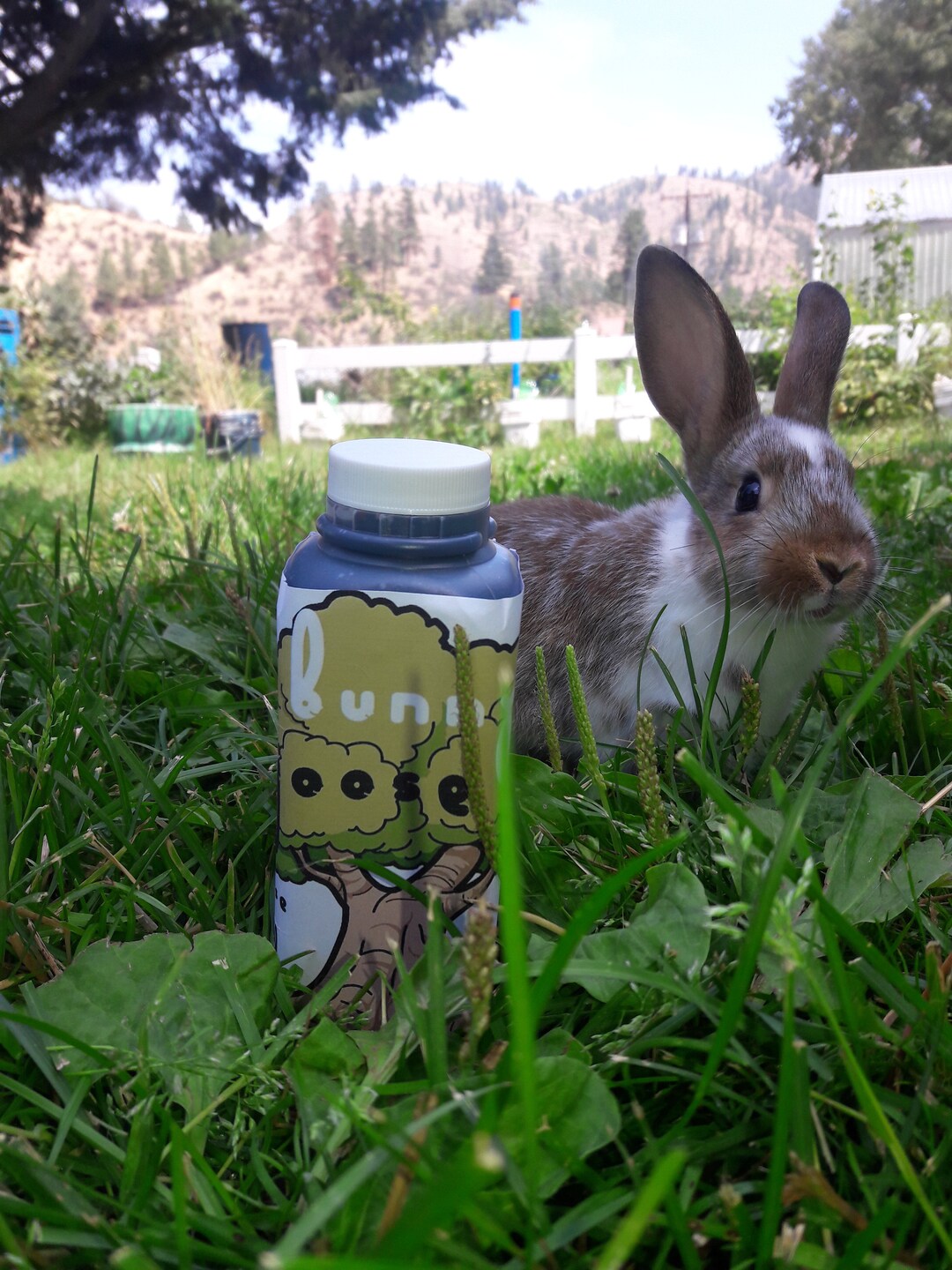 Hase-Joose-ORGANIC-Kaninchen-Mist-Flssig-Dnger-Erde-Blattfutter - Etsy  sterreich