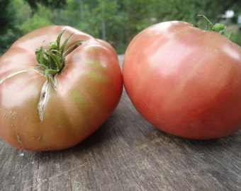 Carbon Purple Tomato 20 seeds *HEIRLOOM* Seeds of Life