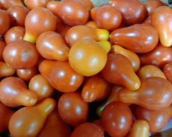 Red Pear cherry tomato *HEIRLOOM* 20 seeds *ORGANIC * Seeds of Life