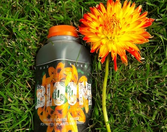 Mad River ORGANIC BLOOM concentrate  Makes 2 gallons