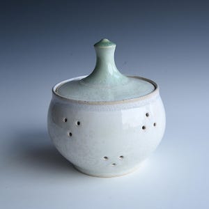 Puede incluir: Un tarro de cerámica blanco con tapa, con un pomo verde claro. El tarro tiene varios agujeros pequeños y una textura moteada. La tapa es de color verde claro a juego. El tarro tiene forma redonda.