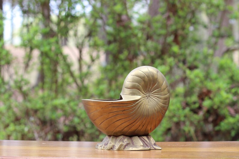 Haus Wohnen Gro U00dfer Vintage Brass Nautilus Plantermessing