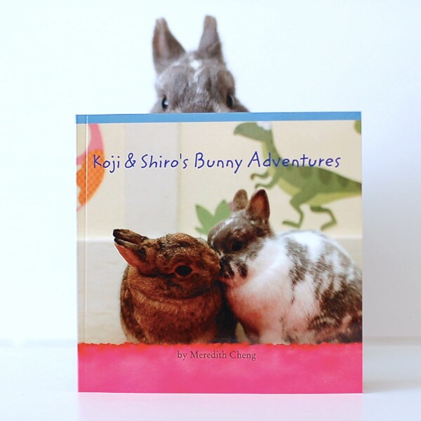 book: Koji & Shiro's Bunny Adventures