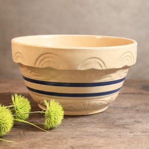 May include: A beige ceramic mixing bowl with two navy blue stripes and decorative carved details. The bowl has a wide rim with a scalloped design. Green spiky flowers are in the foreground, resting on a wooden surface.