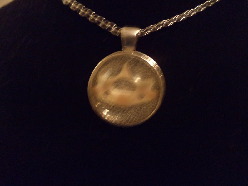 Medium Round Shaped Opossum Bone Metal Backed Resin NecklacePendant