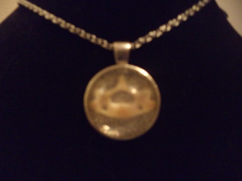 Medium Round Shaped Opossum Bone Metal Backed Resin NecklacePendant