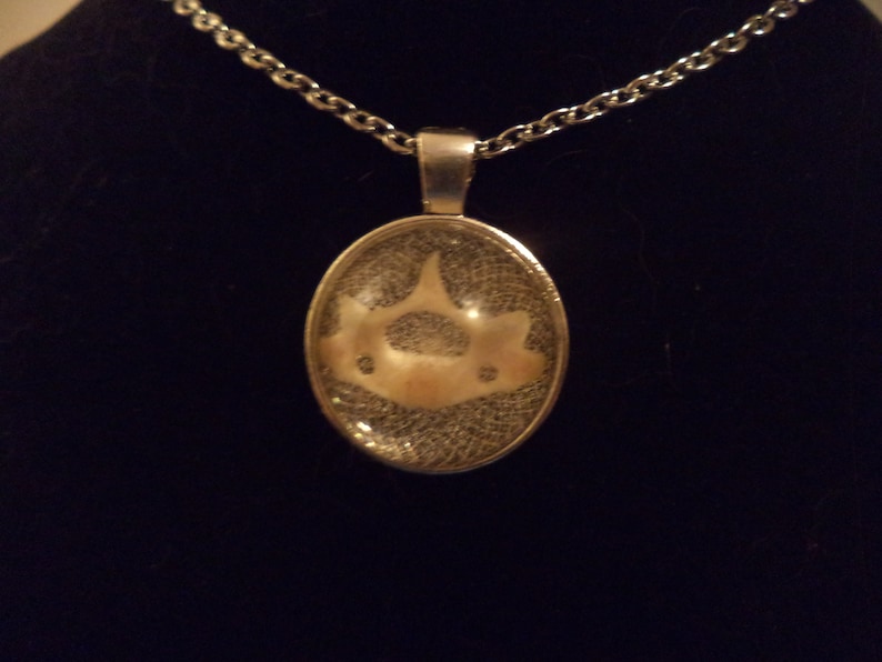 Medium Round Shaped Opossum Bone Metal Backed Resin NecklacePendant