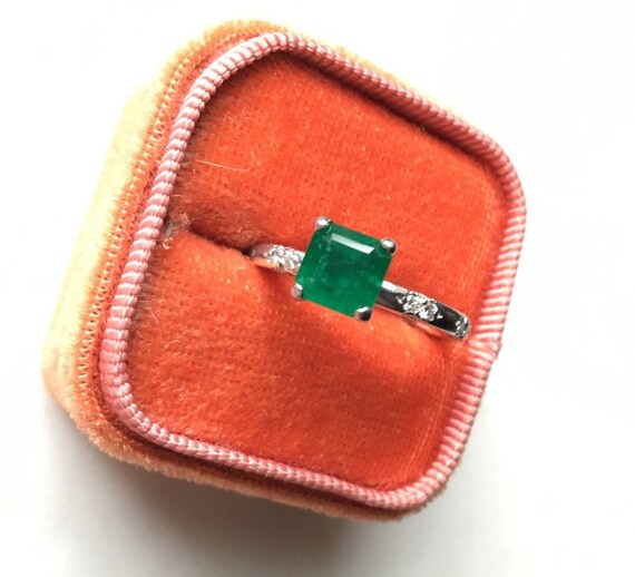 RED ASSCHER ~ Living in Fear