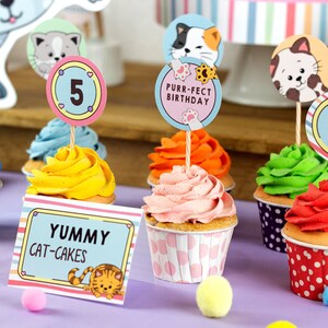 Cat Adoption BIRTHDAY Party, EDITABLE Printable Package &amp; Invitation ...