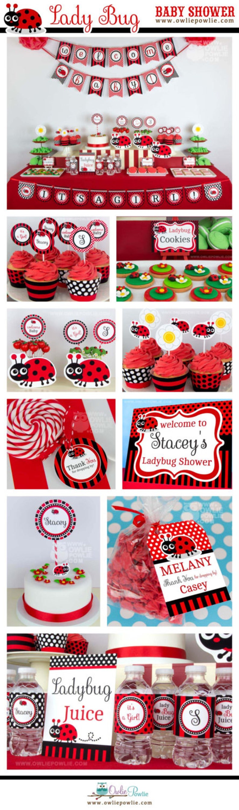 Lady Bug BABY Shower Party Printable Package & Invitation image 1