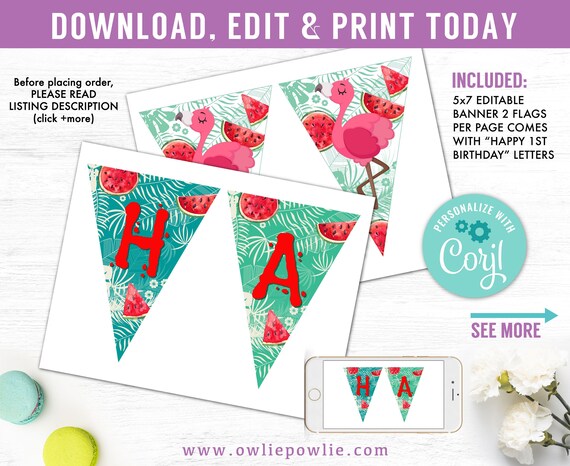 Flamingo Birthday Banner Editable Printable Flamingo Party One