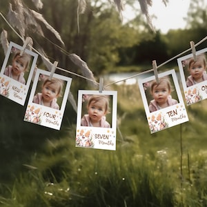 Editable Corgi Puppy  photo banner milestones,Puppy Pawty  Birthday Decoration, Dog Theme Birthday, instant download corjl