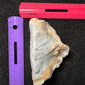 May include: A natural, irregularly shaped stone with a light gray and tan color palette. The stone is approximately 3 inches long. A pink ruler with centimeter markings and a purple ruler with inch markings are in the background.