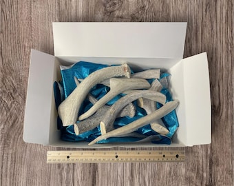 Deer Antler Chews 1 lb Bulk Pack | Natural Long-Lasting Dental Chews for Puppies & Aggressive Chewers | Organic, Sustainable Dog Treats